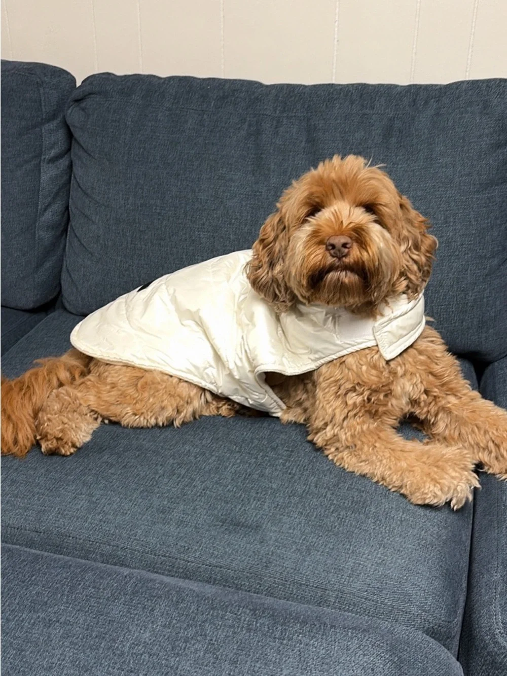 Cozy White Quilted Dog Vest - Insulated Jacket for Small Breeds